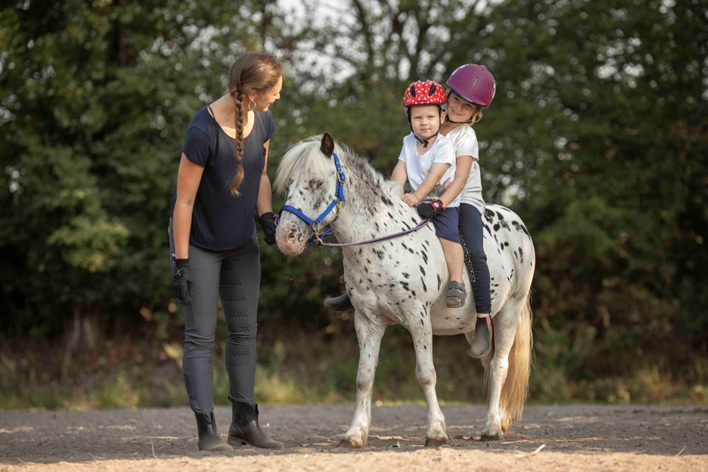 Reitschule_klein_126-min Reitschule_klein_126-min