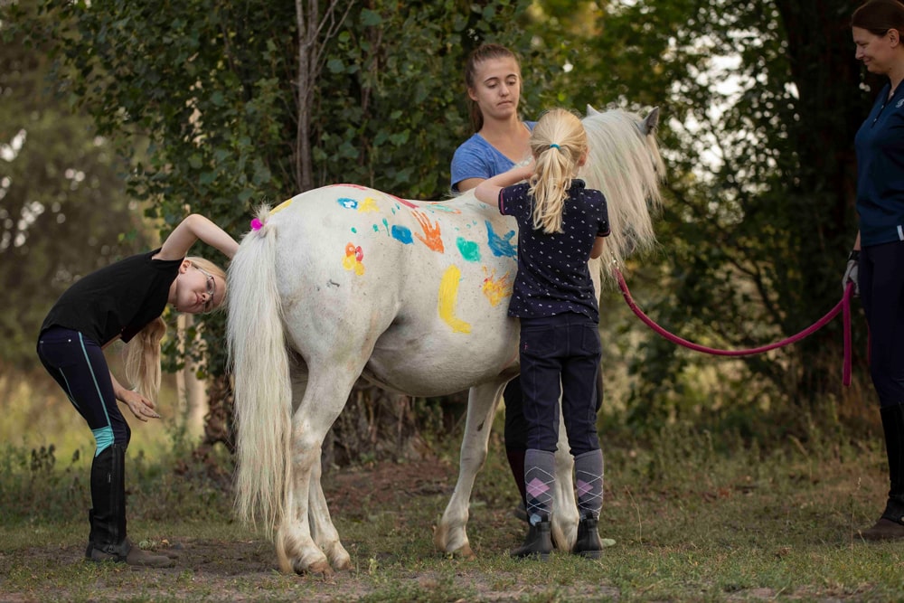 Reitschule_klein_157-min Reitschule_klein_157-min