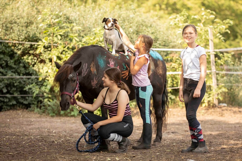 Reitschule_klein_168-min Reitschule_klein_168-min