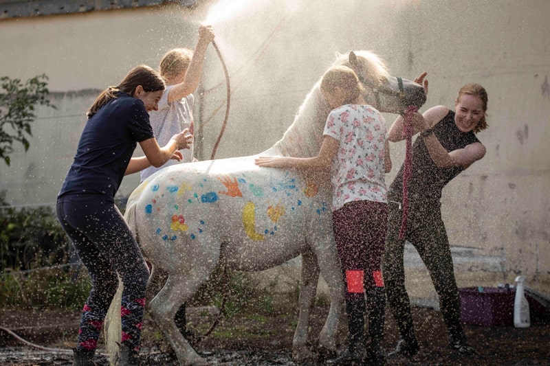 Reitschule_klein_194-min