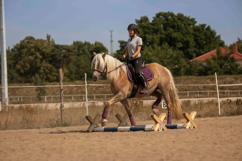 Reitschule_klein_251-min