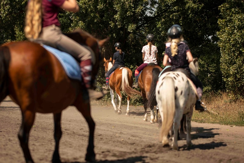 Reitschule_klein_291-min