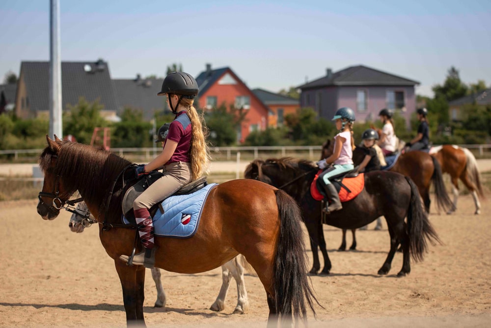Reitschule_klein_294-min Reitschule_klein_294-min