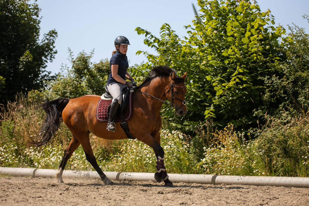 Reitschule_klein_Ponyausleihe