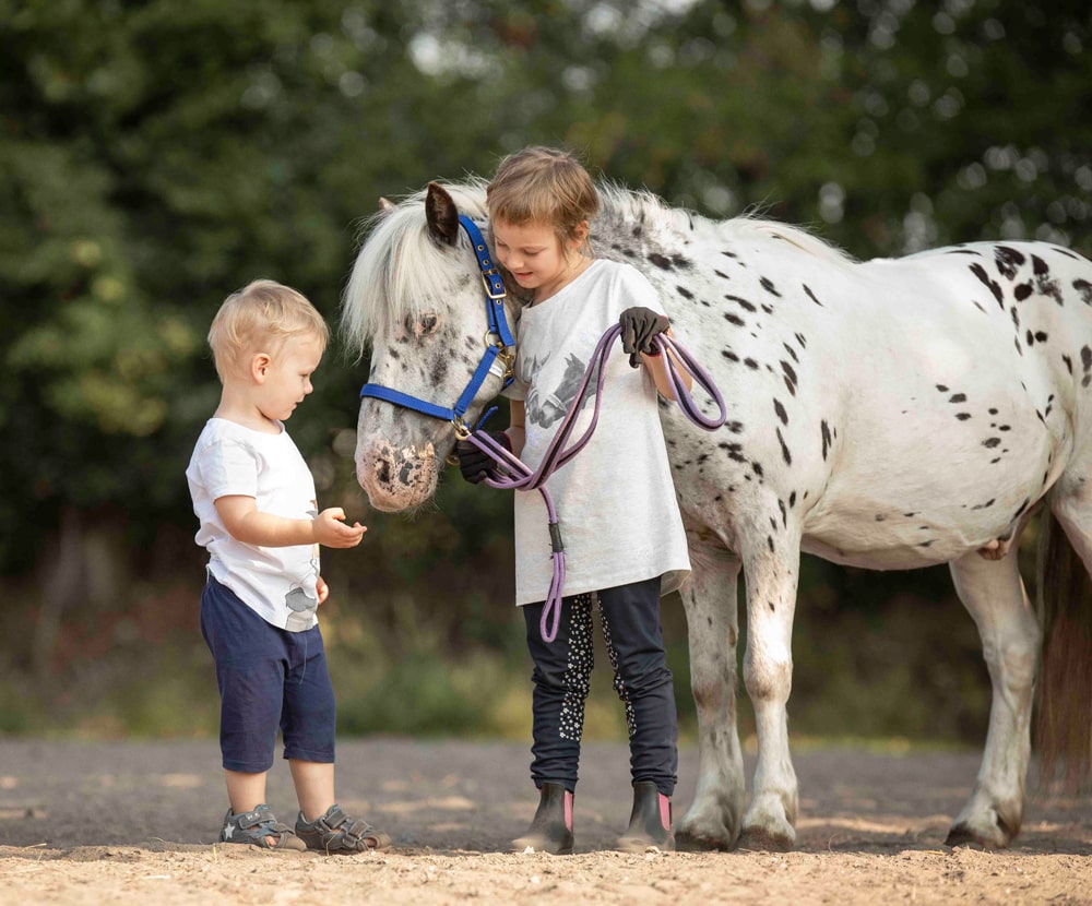 Reitschule_klein_Ponyausleihe