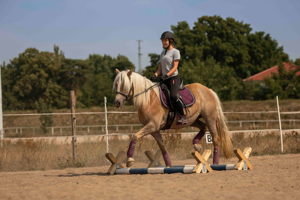 Reitschule_klein_Ponyausleihe