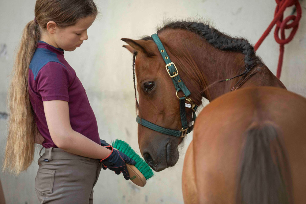 Reitschule_klein_Ponyausleihe