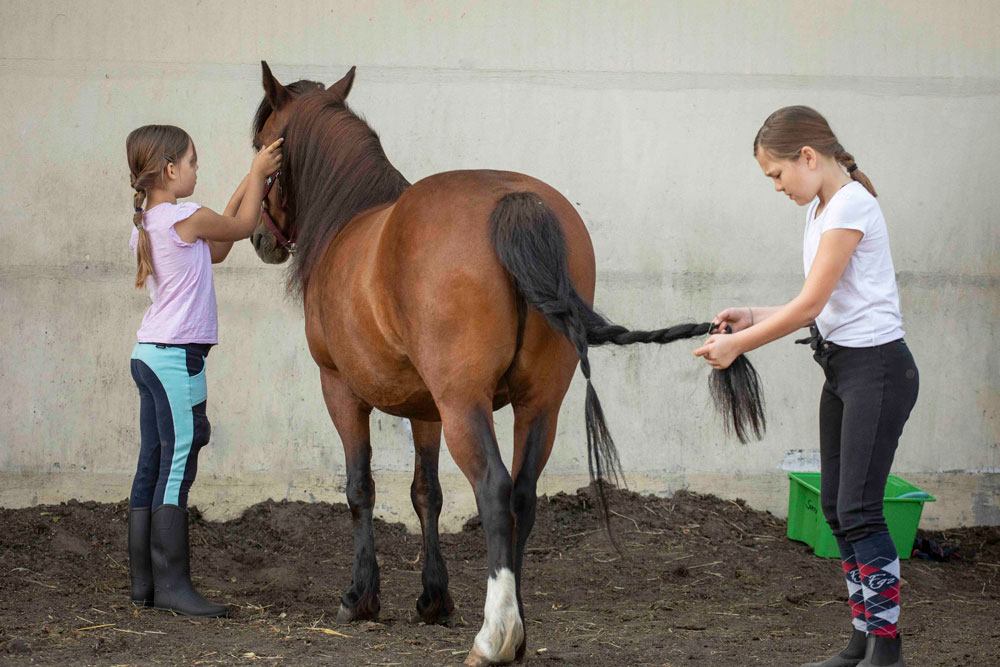 Reitschule_klein_Ponyausleihe