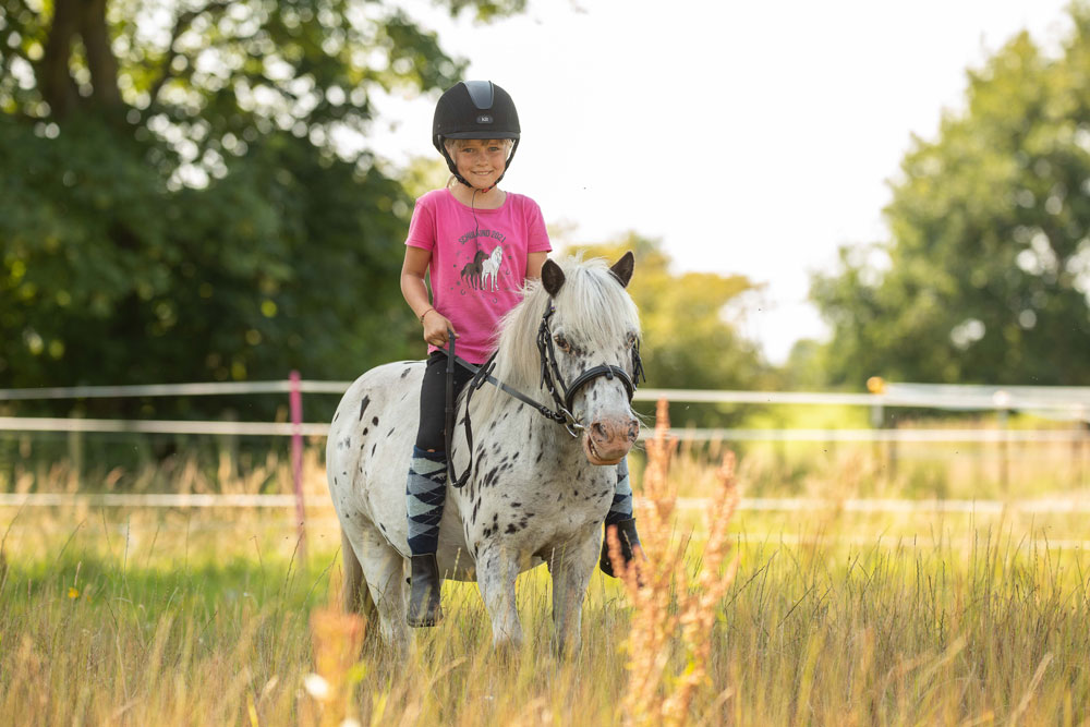 Reitschule_klein_Ponyausleihe