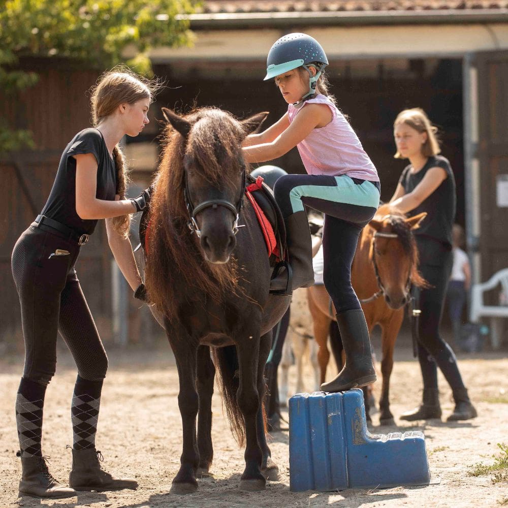 Luke_pony-reitschule-klein-berlin