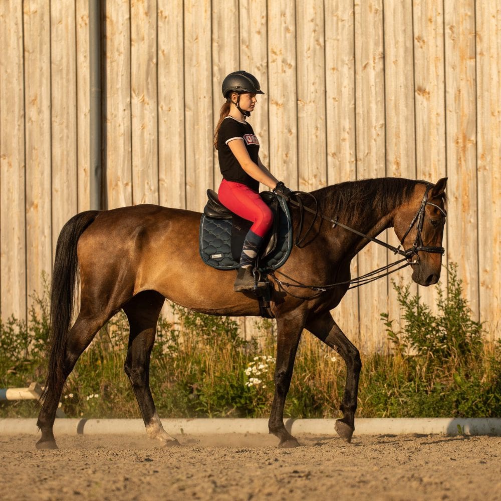 Luke_pony-reitschule-klein-berlin
