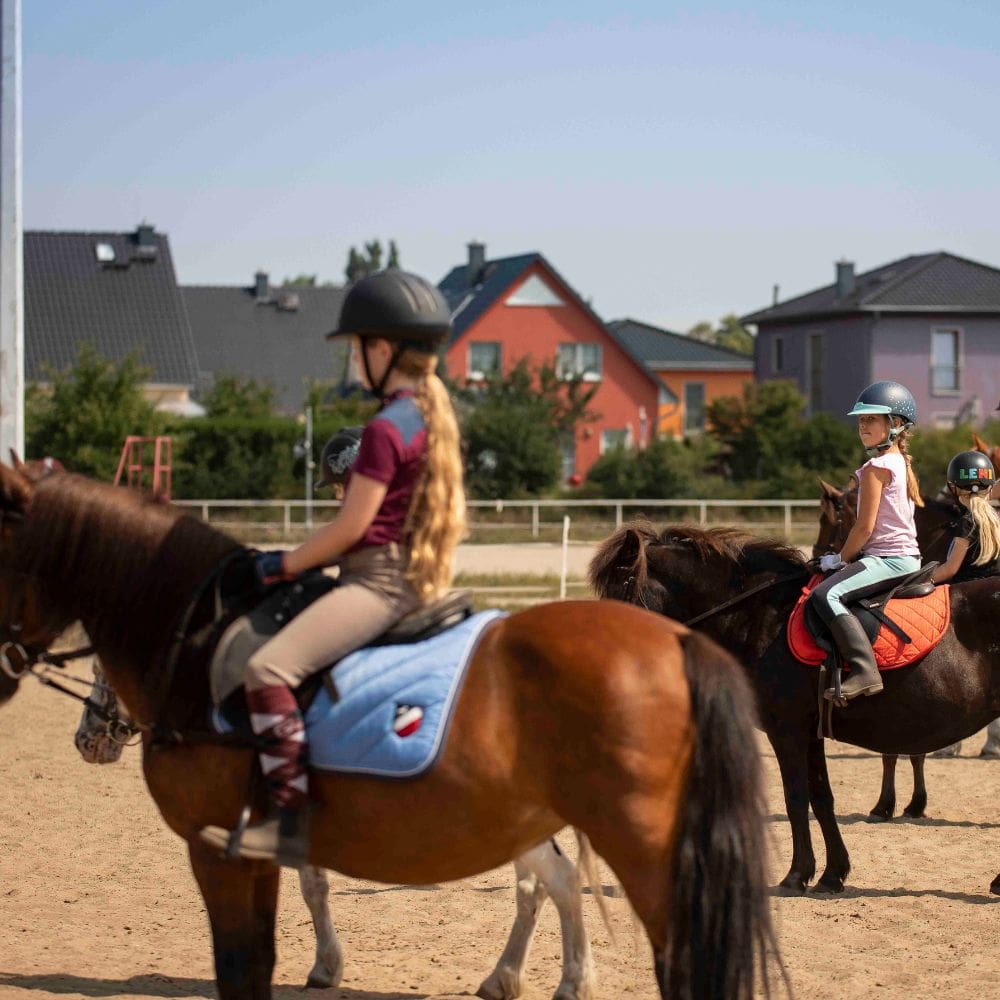 Luke_pony-reitschule-klein-berlin