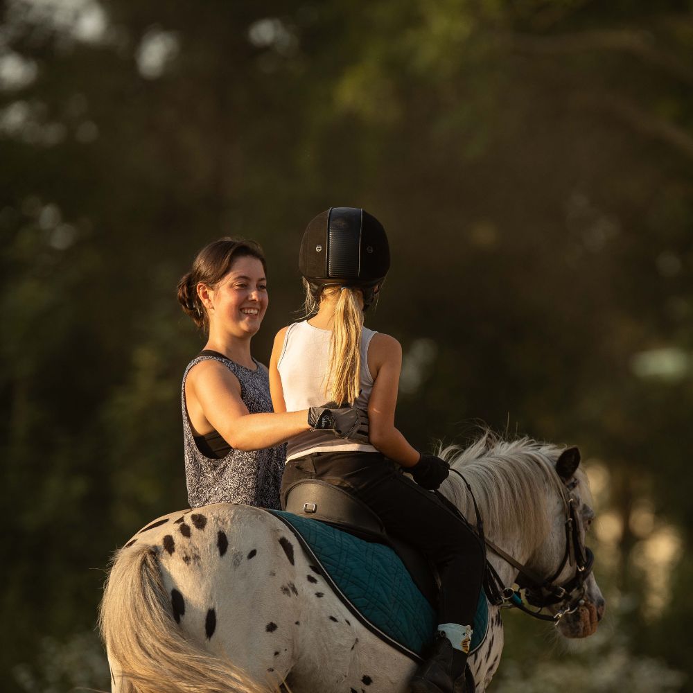 Luke_pony-reitschule-klein-berlin