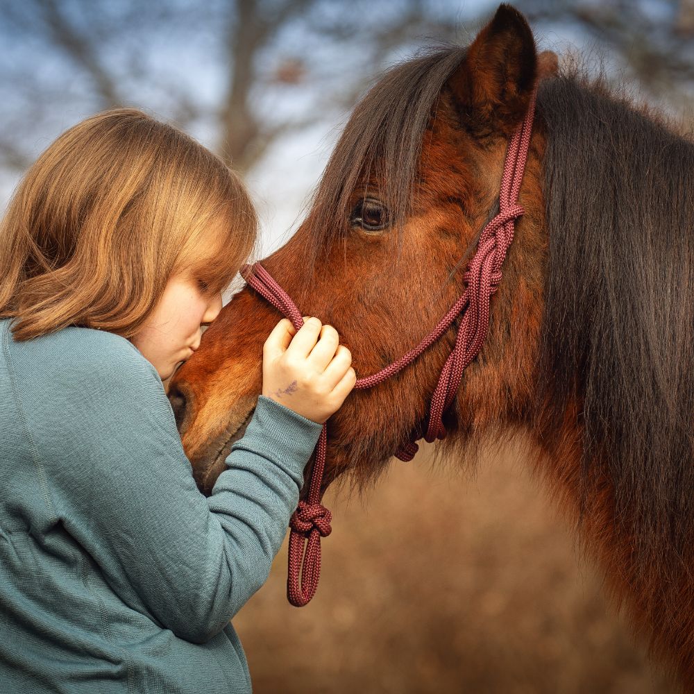 Luke_pony-reitschule-klein-berlin
