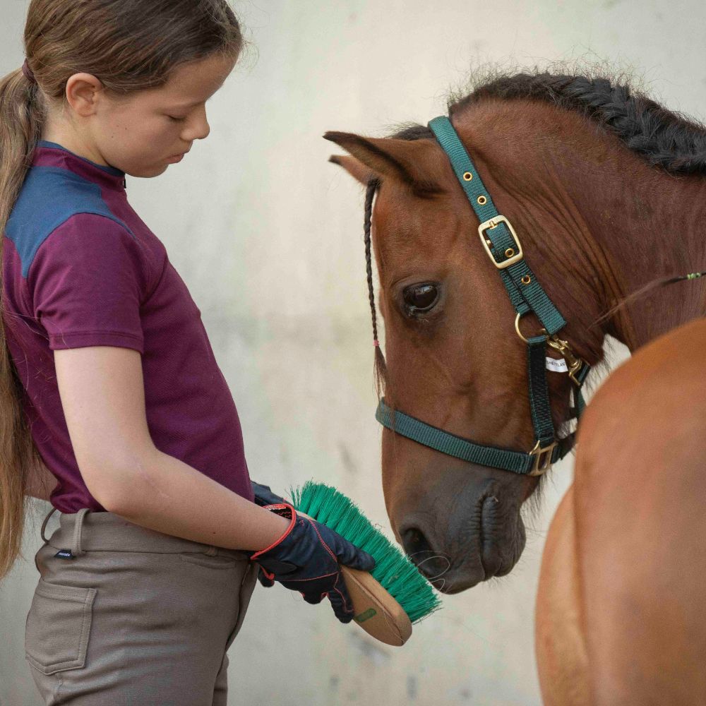 Luke_pony-reitschule-klein-berlin