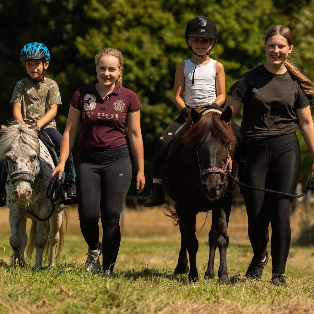 Luke_pony-reitschule-klein-berlin