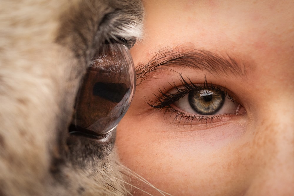 Reitschule-Klein-Berlin-Reitunterricht-Reitabzeichen-Reiterferien-Reiten-lernen-Pferdeauge-Maedchenauge-min