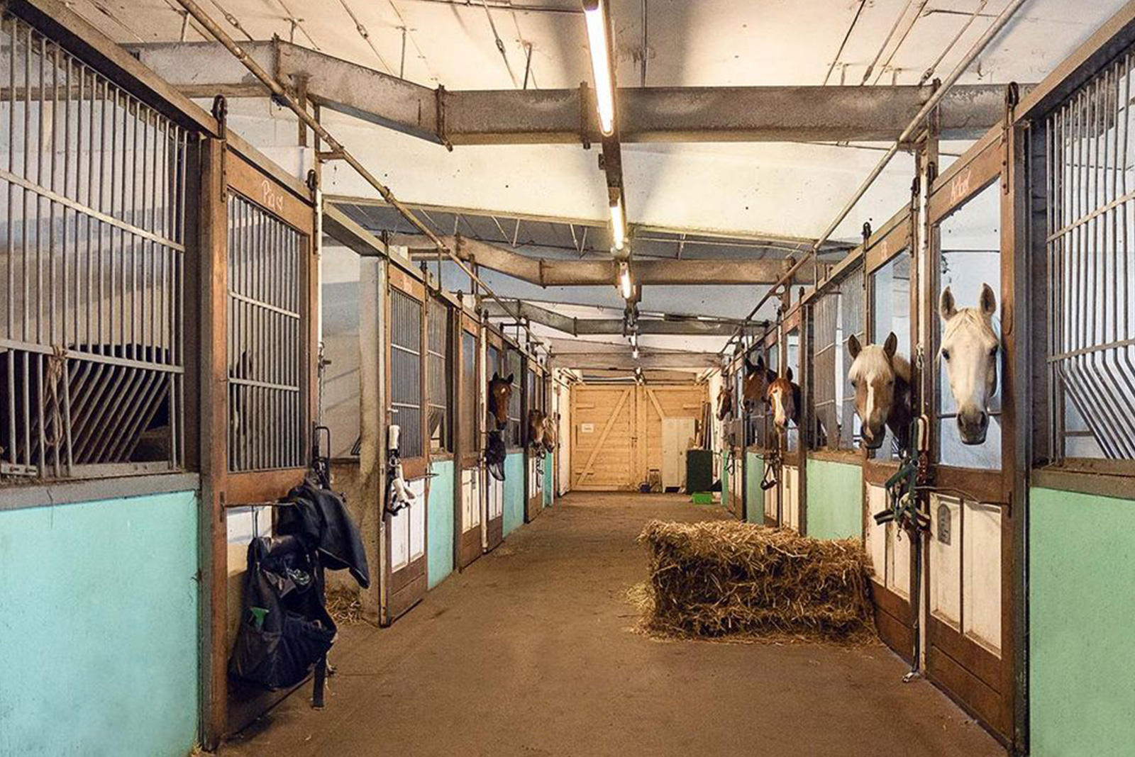 Reitschule-klein-Berlin-Stall_Anlage-Boxen